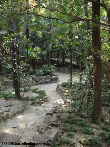 Garden pathway in Fuxing Park in Shanghai, China